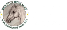 Highland Horse Fun