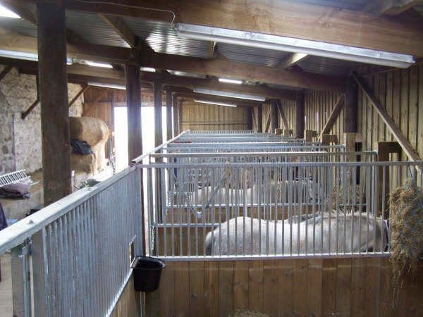 Stables_from_Reception_Area-24 Stables facilities at Highland Horse Fun