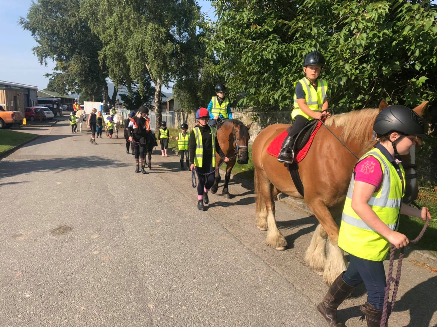 Highland Horse Fun